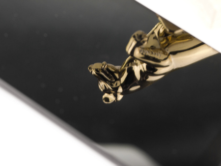 450x338  43 KB. Big one: 1500x1125  437 KB