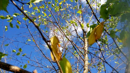 450x253  50 KB. Big one: 3920x2208  2943 KB