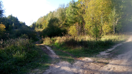 450x253  53 KB. Big one: 3920x2208  2866 KB