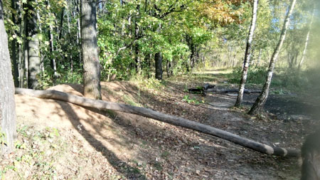 450x253  57 KB. Big one: 3920x2208  3365 KB