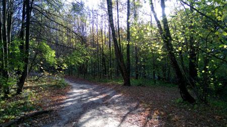 450x253  57 KB. Big one: 3920x2208  3318 KB