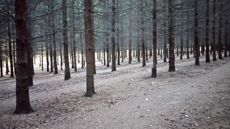 450x253  52 KB. Big one: 3920x2208  1650 KB