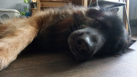 450x253  48 KB. Big one: 3920x2208  1634 KB