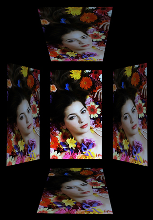 313x450  163 KB. Big one: 1044x1500  1449 KB