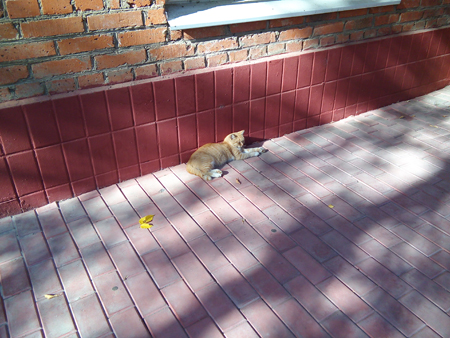 450x338  193 KB. Big one: 3264x2448  2996 KB