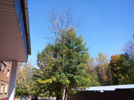 450x338  214 KB. Big one: 3264x2448  4237 KB