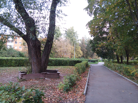 450x338  228 KB. Big one: 3264x2448  3863 KB