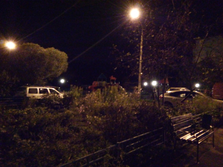 450x338  150 KB. Big one: 3264x2448  1623 KB