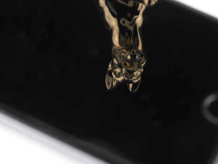 450x338  53 KB. Big one: 1500x1125  386 KB