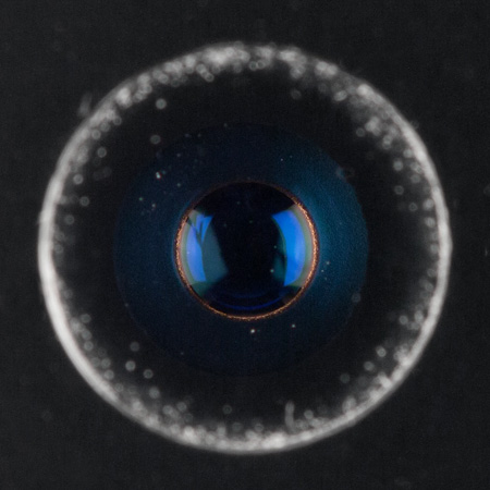 450x450  54 KB. Big one: 946x946  227 KB