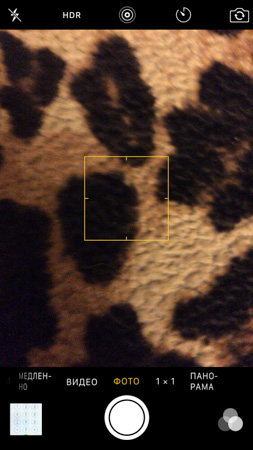 253x450  54 KB. Big one: 843x1500  367 KB