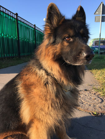 338x450  51 KB. Big one: 3024x4032  2933 KB