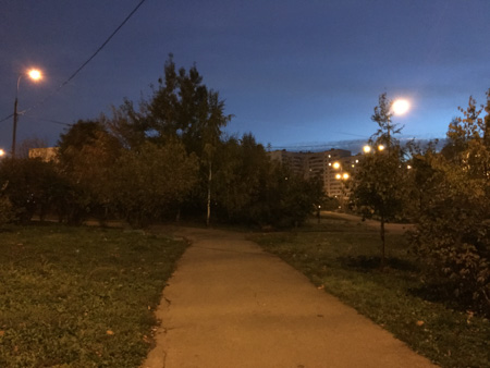 450x338  52 KB. Big one: 4032x3024  1923 KB