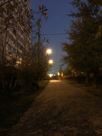 338x450  55 KB. Big one: 3024x4032  1477 KB