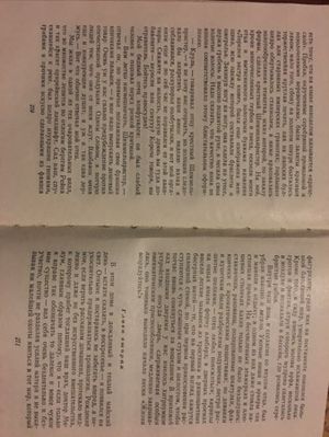 300x399  29 KB. Big one: 3024x4032  1828 KB