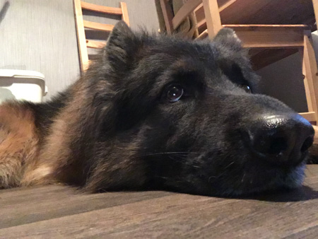 450x338  60 KB. Big one: 2576x1932  568 KB