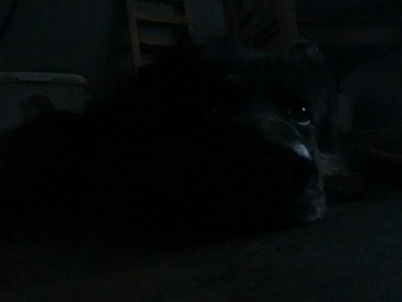 450x338  43 KB. Big one: 2576x1932  276 KB