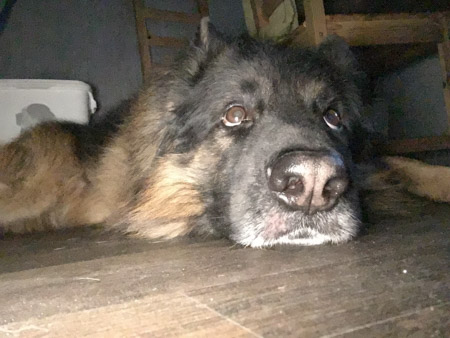 450x338  50 KB. Big one: 2576x1932  1012 KB