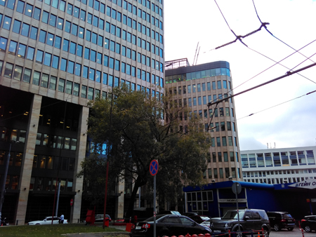 450x338  177 KB. Big one: 3200x2400  2523 KB