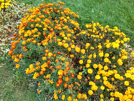 450x338  336 KB. Big one: 3200x2400  5880 KB