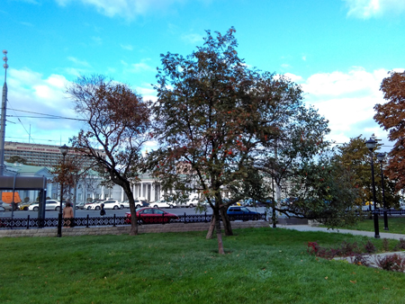 450x338  204 KB. Big one: 3200x2400  3713 KB