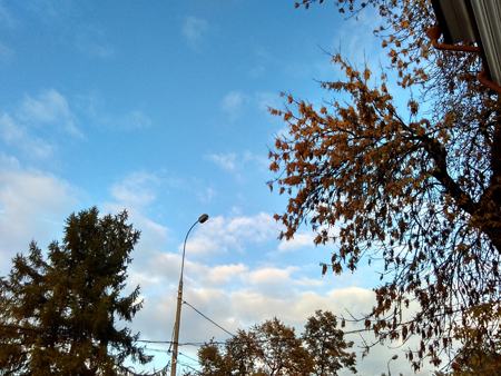 450x338  208 KB. Big one: 3200x2400  3624 KB