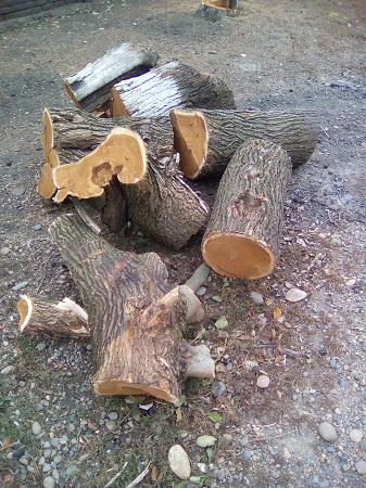 337x450  158 KB. Big one: 1920x2560  2868 KB