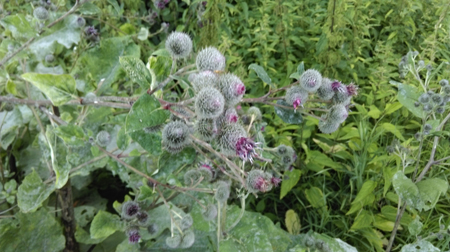 450x252  125 KB. Big one: 4224x2368  3269 KB