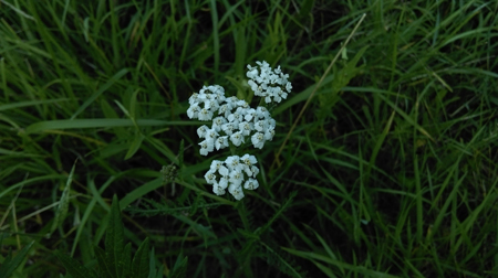 450x252  100 KB. Big one: 4224x2368  2734 KB