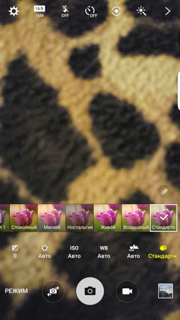 253x450  49 KB. Big one: 844x1500  486 KB