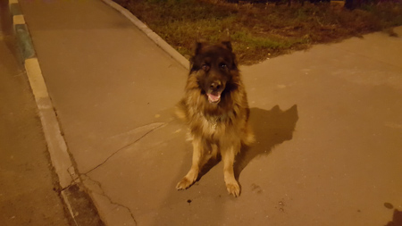 450x253  48 KB. Big one: 5312x2988  1931 KB