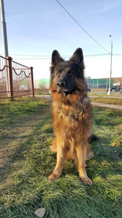 253x450  53 KB. Big one: 2988x5312  4671 KB