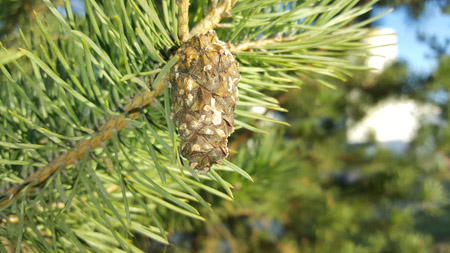 450x253  52 KB. Big one: 5312x2988  2665 KB