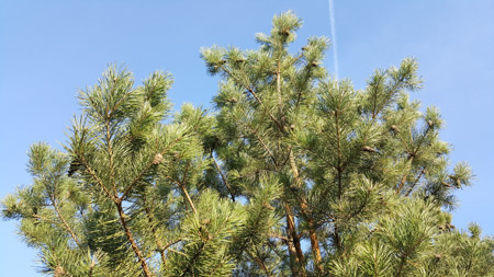 450x253  60 KB. Big one: 5312x2988  5741 KB