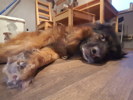 450x338  56 KB. Big one: 2592x1944  544 KB