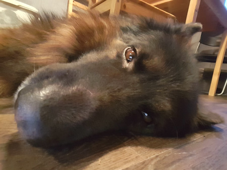 450x338  53 KB. Big one: 2592x1944  637 KB