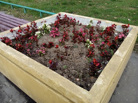 450x337  86 KB. Big one: 4160x3120  5484 KB