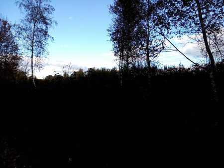 450x337  48 KB. Big one: 4160x3120  3032 KB