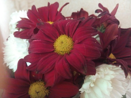 450x337  42 KB. Big one: 4160x3120  3978 KB