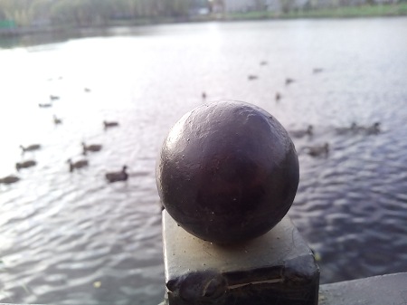 450x337  33 KB. Big one: 3264x2448  1322 KB