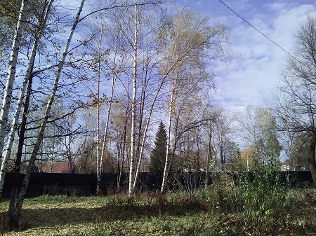 450x337  98 KB. Big one: 3264x2448  4383 KB