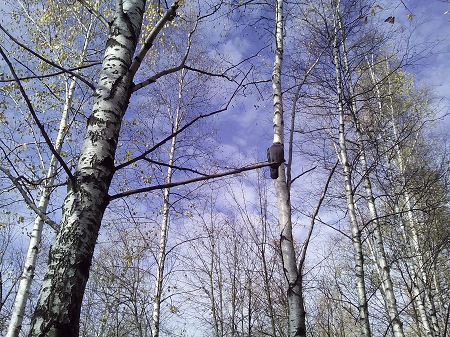 450x337  110 KB. Big one: 3264x2448  4857 KB