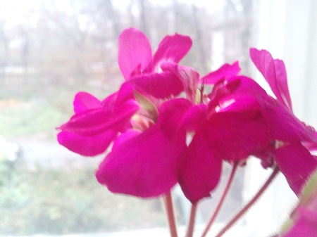 450x337  36 KB. Big one: 3264x2448  1556 KB