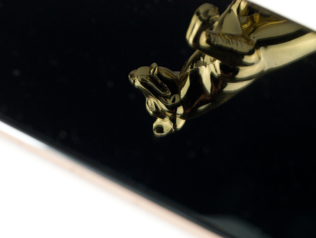 450x338  47 KB. Big one: 1500x1125  456 KB