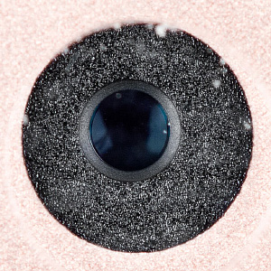 300x300  59 KB. Big one: 705x705  236 KB