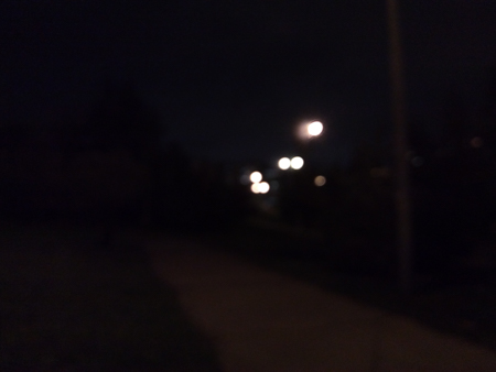 450x338  56 KB. Big one: 4608x3456  1493 KB