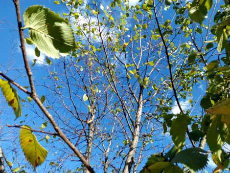 450x338  51 KB. Big one: 4608x3456  4161 KB