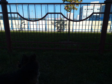 450x338  50 KB. Big one: 4608x3456  1799 KB