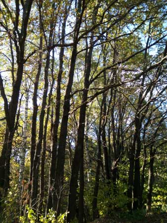 338x450  53 KB. Big one: 3456x4608  4492 KB