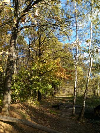 338x450  49 KB. Big one: 3456x4608  4781 KB